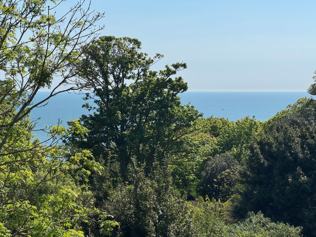 Lot: 64 - ATTRACTIVE VICTORIAN VILLA WITH PREVIOUS STRUCTURAL MOVEMENT ON A DOUBLE WIDTH PLOT - A View Photograph from the First Floor